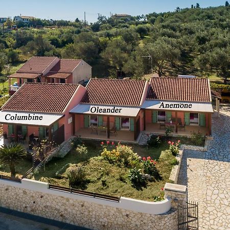 Garden Apartments Agios Stefanos Corfu آغيوس ستيفانوس المظهر الخارجي الصورة